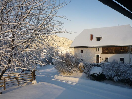 Morgenstimmung am Schafferhof