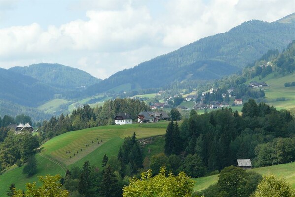 Blick auf das Ferienhaus