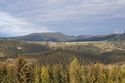 20200430_070919