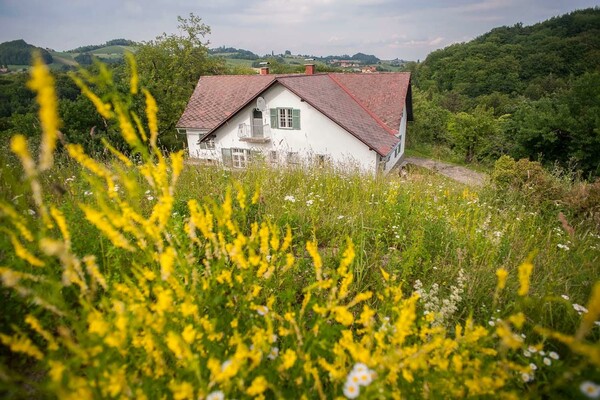 Ferienhaus Vogeljager Außenansicht | © Ferienhaus Vogeljager | Angela & Harald Krofitsch