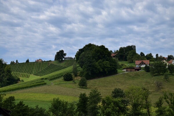 Aussicht | © FH Zangl / TV Südsteiermark