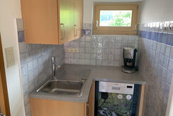 Spüllbecken und Geschirrspüler