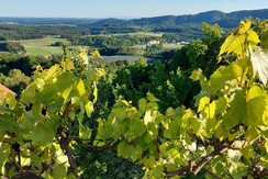 Aussicht