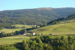 DSC08355