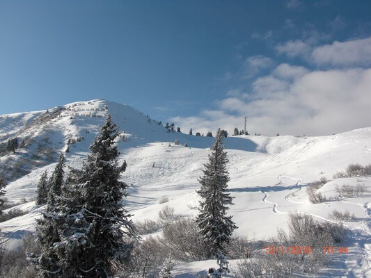 Fuchs'n Bau  Aussenanlage  | © Riesneralm