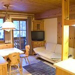 Photo of ap./combined living-bed-room/shower, WC