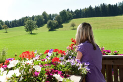 Frankenhof_Aussicht Balkon_Foto Krempl (8)