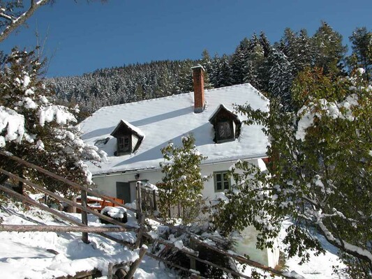 Hütte im Winter