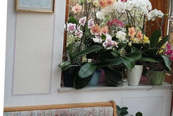 Frühstüch im Wintergarten