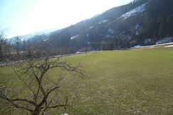 SAM_3825