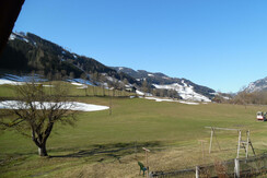 SAM_3831