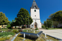 TVGamlitz/Harry Schiffer