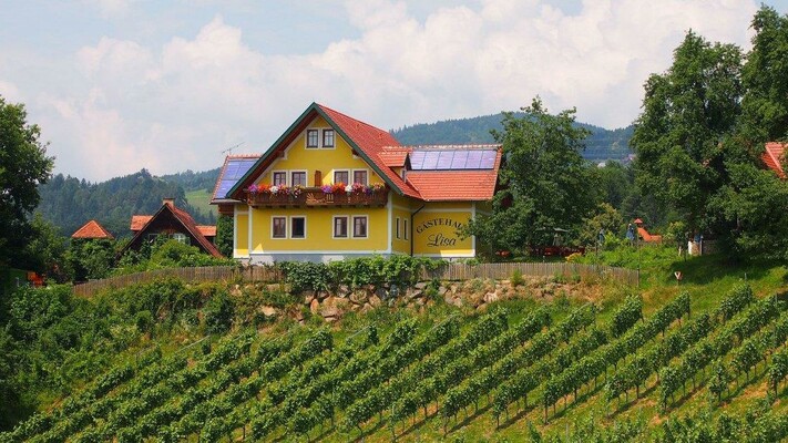 Gästehaus Lisa mit Weingarten | © Gästehaus Lisa