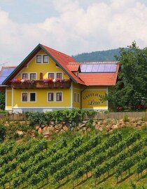 Gästehaus Lisa mit Weingarten | © Gästehaus Lisa | © Gästehaus Lisa