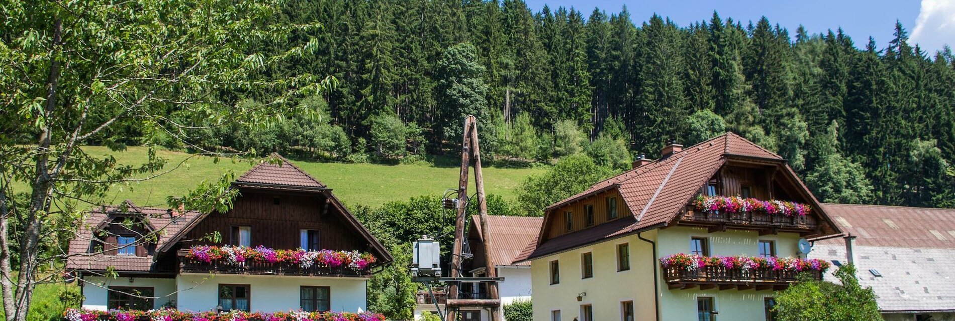 Bergbauernhof Hanslgrabner