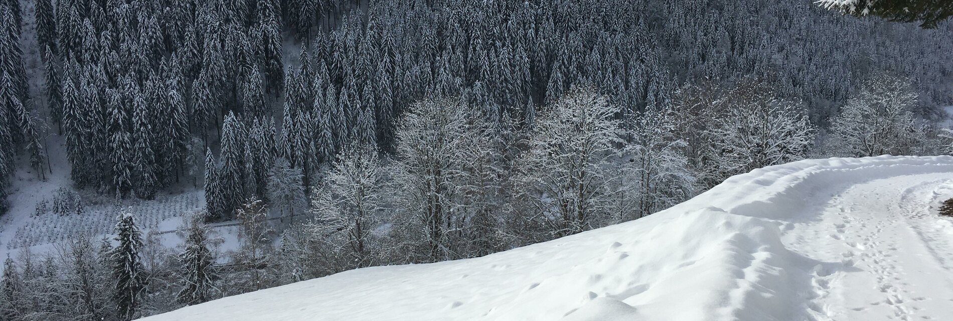 Spaziergang im Schnee