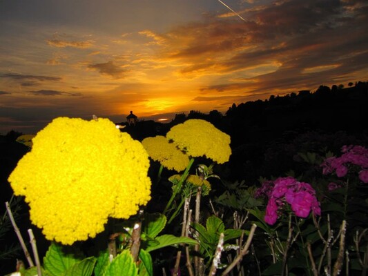 Abendstimmung | © Familie Fasching