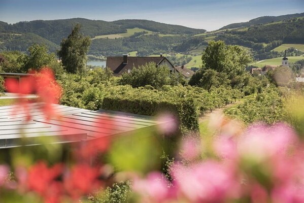 Seeblick vom Balkon | © BB