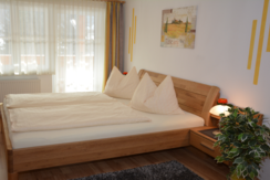 Room mountain view 1