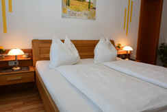 Double room mountain view 1