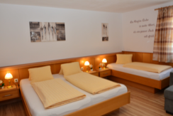 Family room mountain view 4