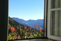 Blick aus dem Fenster
