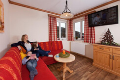 Haus Taxegger - App. Planai - Wohnraum