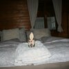 Bild von Ferienwohnung | © Herkhof