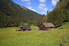 IMG_2762 (2000x1333)