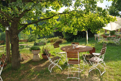 Hirschmugl - Domaene am Seggauberg