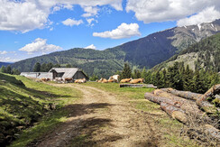 IMG-20210823-WA0001 (002)