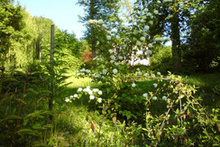 Blick in den Garten vom Balkon