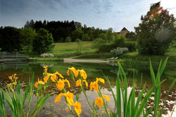 Schloßteich | © Schloss Obermayerhofen