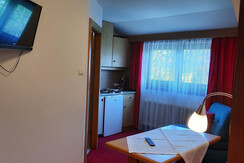 Wohnraum mit Kochnische