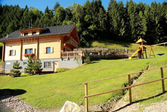 Rezeption und APT-STM