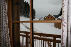 Ein Blick auf den Winter