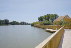 Fischen am Harter Teich