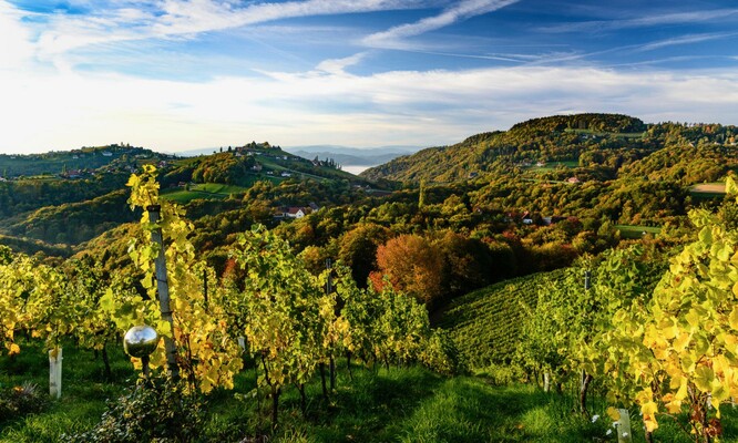 Aussicht | © Kellerstöckl Goigner