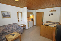 copyright_shooting-star (46)