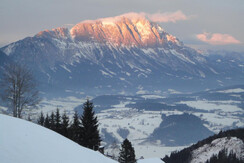 FEWO Preiselbeere Aussicht im Winter