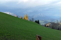 Aussicht von Zimmer 1