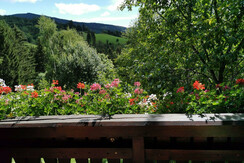 Ausblick vom Balkon auf den Reinischkogel