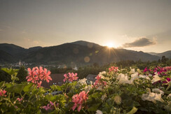 Blick vom Balkon Zimmer4/gelbes Herzerl