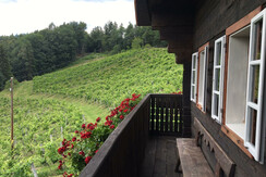 Knappenhof Weingartenstöckl Balkon