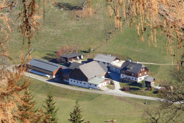 Lacknerhof im Seewigtal - Hof