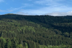 Zimmer Premium Ausblick Stanglalm