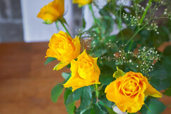 Exklusives Feriendomizil Landhaus Austria