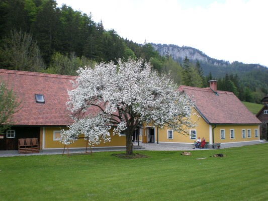 Das Ferienhaus Fuchs im Sommer | © Renate Fuchs