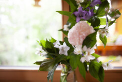 Blumen aus dem Garten