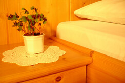 Glücksklee am Zimmer